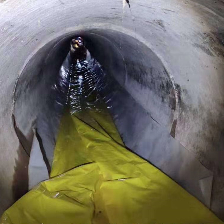 阜龙乡管道光固化修复